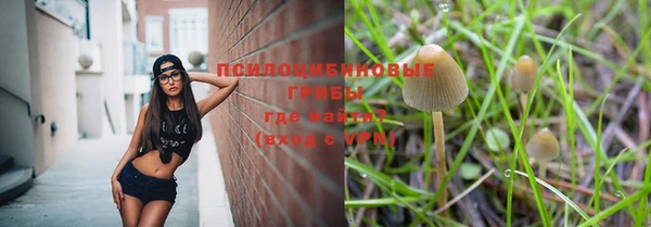 соль курить ск Арсеньев