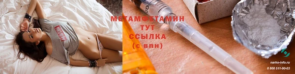 ГАЛЛЮЦИНОГЕННЫЕ ГРИБЫ Аркадак