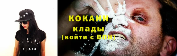 ГАЛЛЮЦИНОГЕННЫЕ ГРИБЫ Аркадак