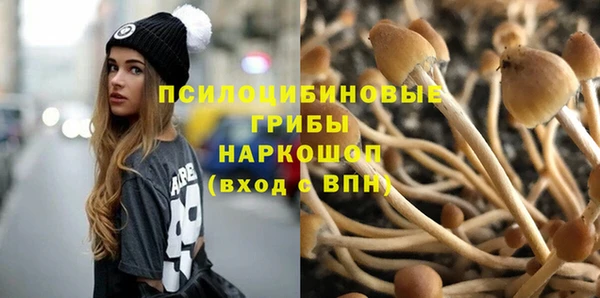 ГАЛЛЮЦИНОГЕННЫЕ ГРИБЫ Аркадак