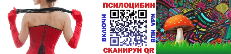 закладка Вологда МЕГА как войти Псилоцибиновые грибы Magic Shrooms