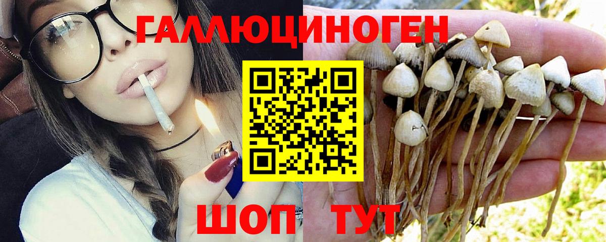 Вологда  Галлюциногенные грибы GOLDEN TEACHER  Вход с VPN  Галлюциногенные грибы мицелий 